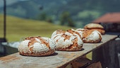 Holzofenbrot mit Tauernroggen und Landweizen