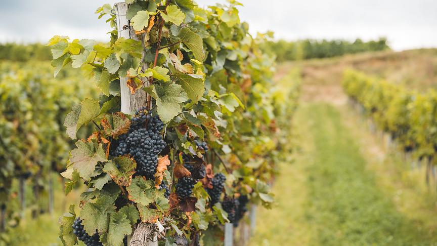 © Simeon Baker 22042022-slideshow-5