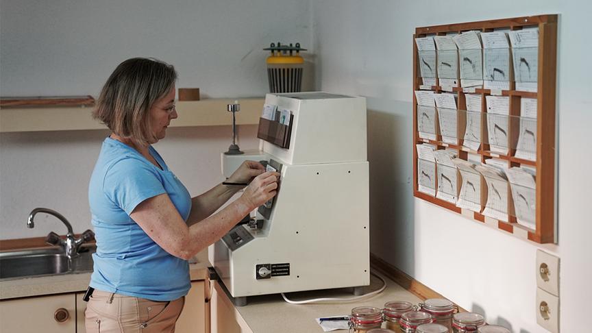 © Foto: Simeon Baker Müllermeisterin Monika bei der Arbeit.