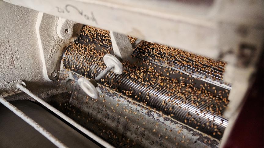 © Foto: Simeon Baker Korn wird zu Mehl gemahlen.