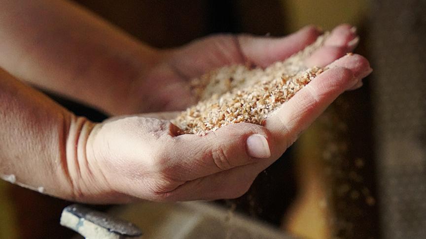 © Foto: Simeon Baker Müllermeisterin Monika zeigt wie aus Korn Mehl wird.