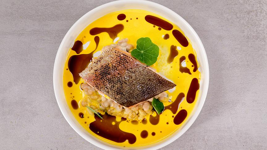 Lachsforelle mit cremigem Bohnencassoulet, Safran-Espuma und Kürbiskernöl
