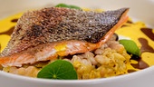 Lachsforelle mit cremigem Bohnencassoulet, Safran-Espuma und Kürbiskernöl