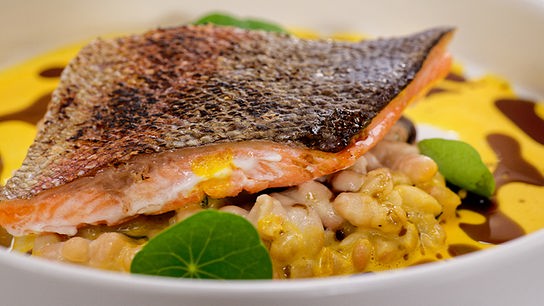 © ORF/ Silvia Schneider GmbH/ Juraj Melicher Lachsforelle mit cremigem Bohnencassoulet, Safran-Espuma und Kürbiskernöl