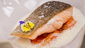 Lachsforelle, Tomate und Spargel-Zitrus-Beurre Blanc