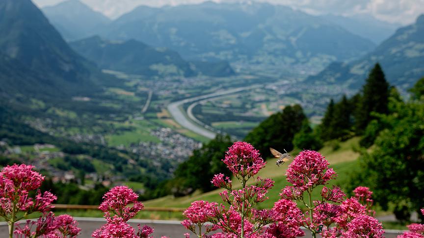 Schloss Vaduz