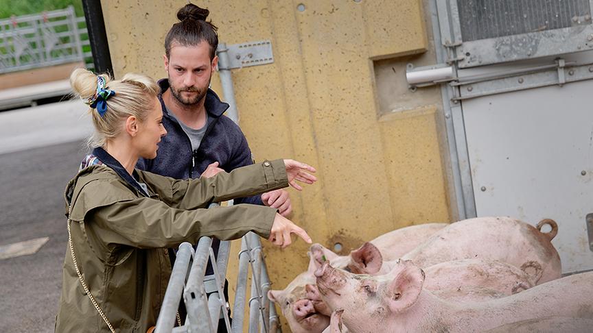 BoKu Student Roman erklärt Silvia die artgerechte Tierhaltung am Maashof.
