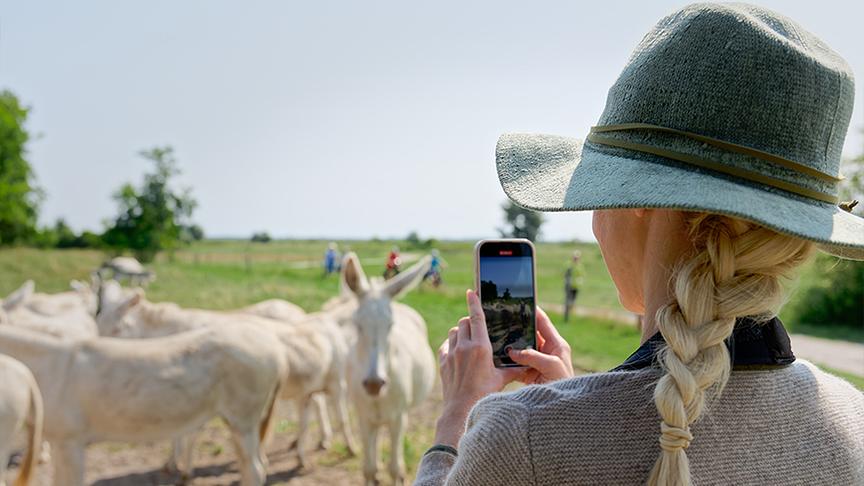 Silvia ist mit Ranger Lukas Vendler unterwegs im Nationalpark Neusiedlersee