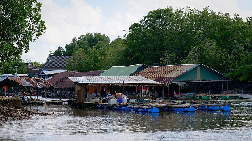 © ORF/ Silvia Schneider GmbH/ Juraj Melicher Khun Prasert macht mit Silvia eine Bootstour durch die Mangroven