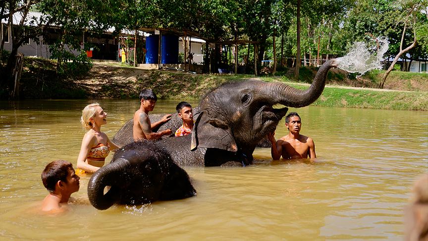 © ORF/ Silvia Schneider GmbH/ Juraj Melicher Silvia macht unvergessliche Erfahrungen im Elefantenschutzgebiet Phukets.