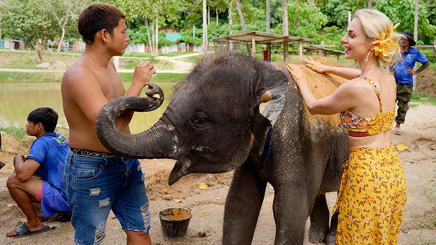 © ORF/ Silvia Schneider GmbH/ Juraj Melicher Silvia macht unvergessliche Erfahrungen im Elefantenschutzgebiet Phukets.