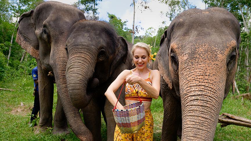 © ORF/ Silvia Schneider GmbH/ Juraj Melicher Silvia macht unvergessliche Erfahrungen im Elefantenschutzgebiet Phukets.