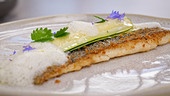 Regenbogenforelle mit Zucchini, Landmais und Verjus
