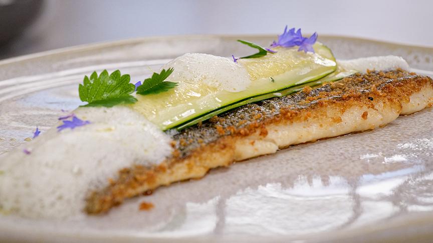 Regenbogenforelle mit Zucchini, Landmais und Verjus
