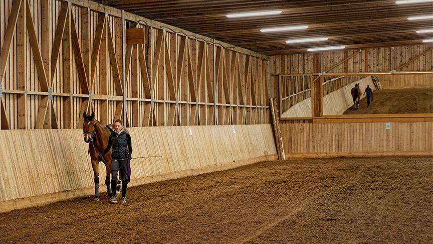 Silva nimmt Reitstunden auf Gut Weissenhof