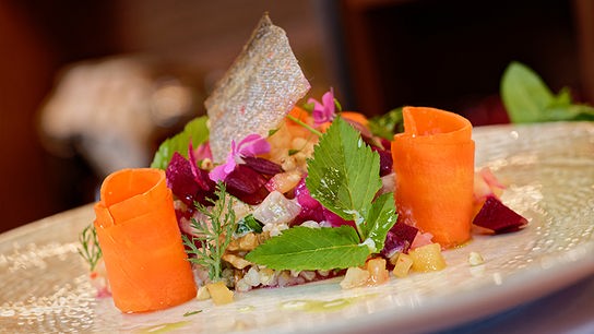 © ORF/ Silvia Schneider GmbH/ Juraj Melicher Saibling-Ceviche mit fermentiertem Gemüse
