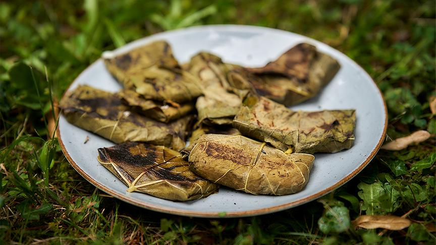 Schafskäse in Weinblättern 