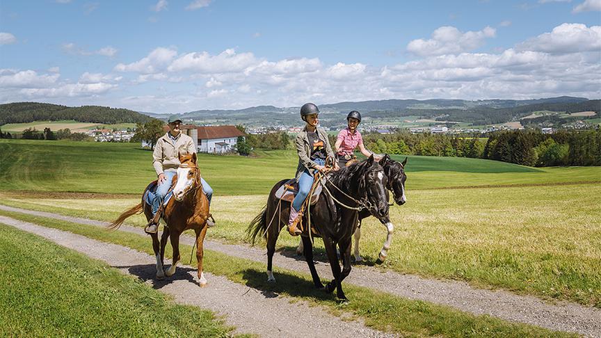 Wanderreiten im Mühlviertel