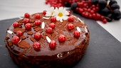 Alina Blaschke - Schokoladenmousse-Torte mit Brownie und Ribiseln