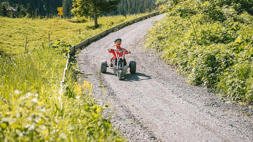 Mountaincartfahren auf der Harschbichlbahn