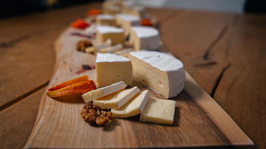 Bio-Käse des Familienhofs von Markus und Thomas Ehammer.