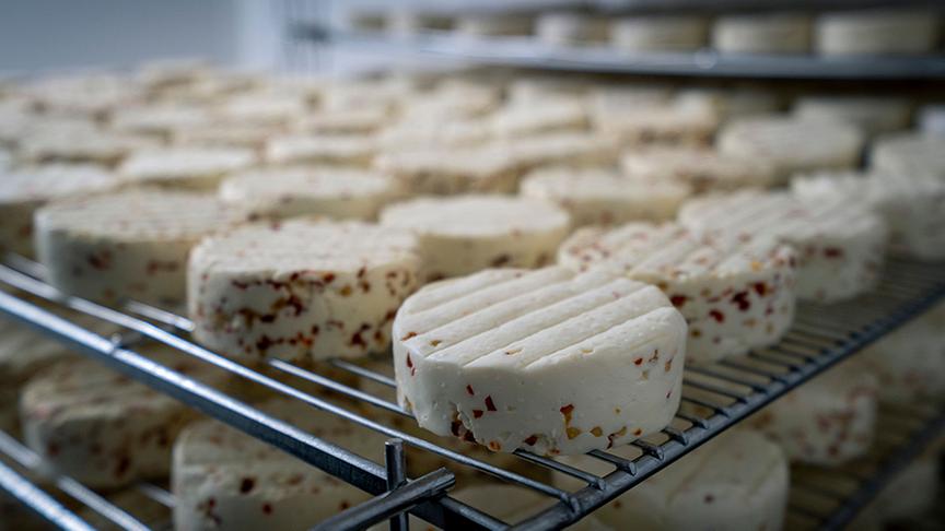 Bio-Käse des Familienhofs von Markus und Thomas Ehammer.