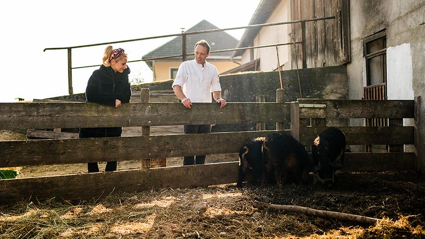 Silvia besucht Schloss Lerchenhof, wo sie von Hausherr Johann Steinwender die Speckzubereitung lernt.