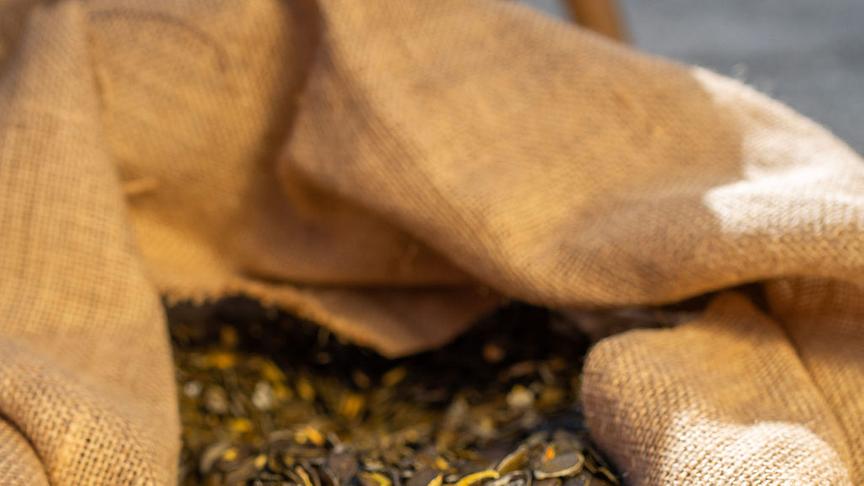 Südsteiermark-Woche 