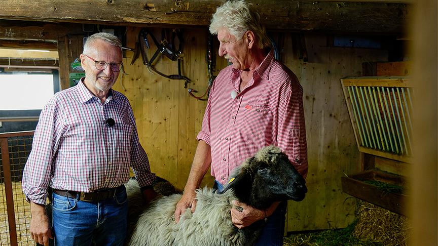 © ORF/ Silvia Schneider GmbH/ Juraj Melicher Silvia bei Züchtern der Tuxer Steinschafe.