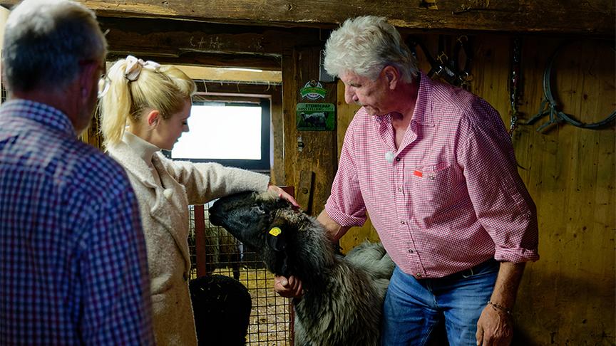 © ORF/ Silvia Schneider GmbH/ Juraj Melicher Silvia bei Züchtern der Tuxer Steinschafe.