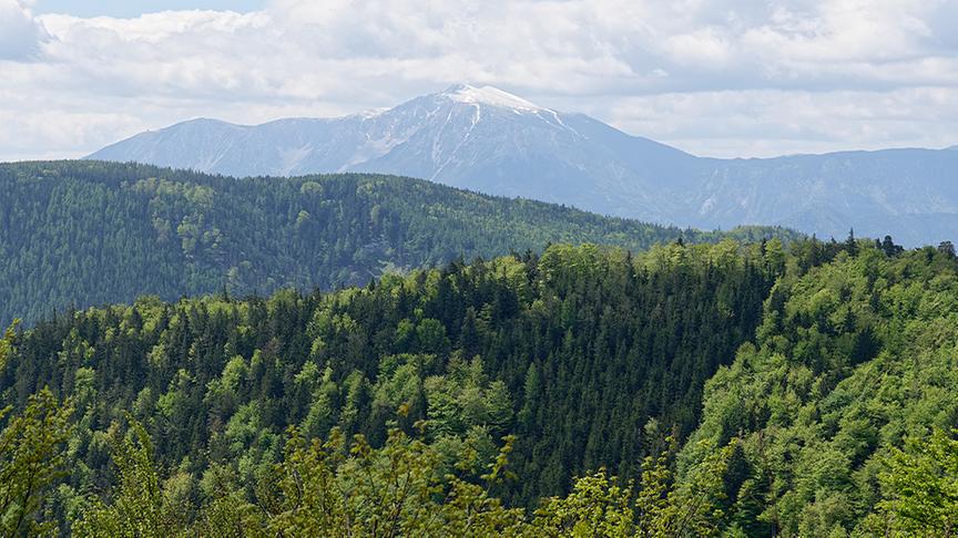 Silvia wandert mit Willibald Gruber zur Enzianhütte am Kieneck.