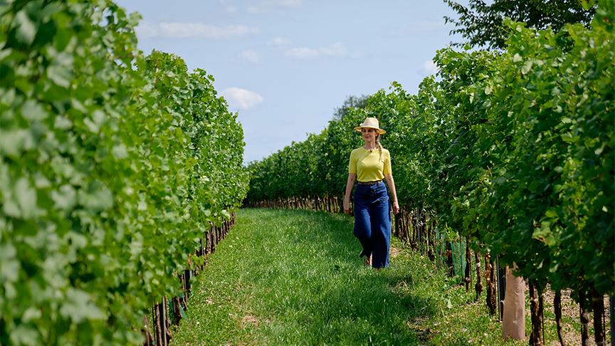 Michael Allacher begleitet Silvia am Weinwanderweg Gols.