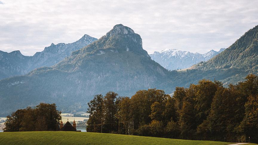© ORF/ Silvia Schneider GmbH/ Simeon Baker Silvia zu Besuch am Hof von Familie Kogler