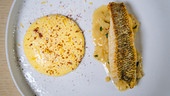 Zander mit Erdäpfel-Risotto und Sauce Hollandaise