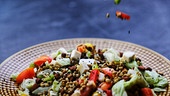 Belugalinsensalat