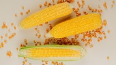 Maiskolben