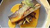 Gegrillter Fisch angerichtet auf Fenchel und einer orangen Sauce sowie garniert mit einem Kräuterzweig.