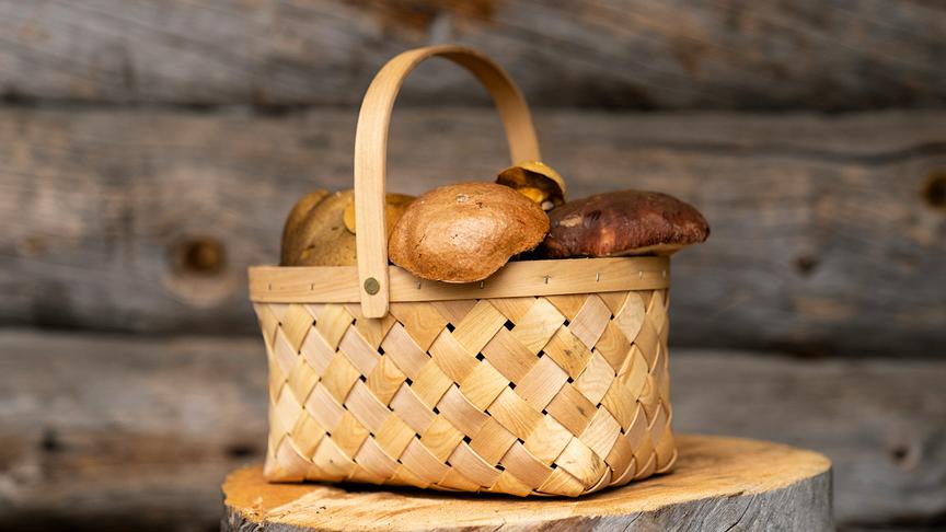 Schwammerlsoße mit Waldviertler Erdäpfelknödel