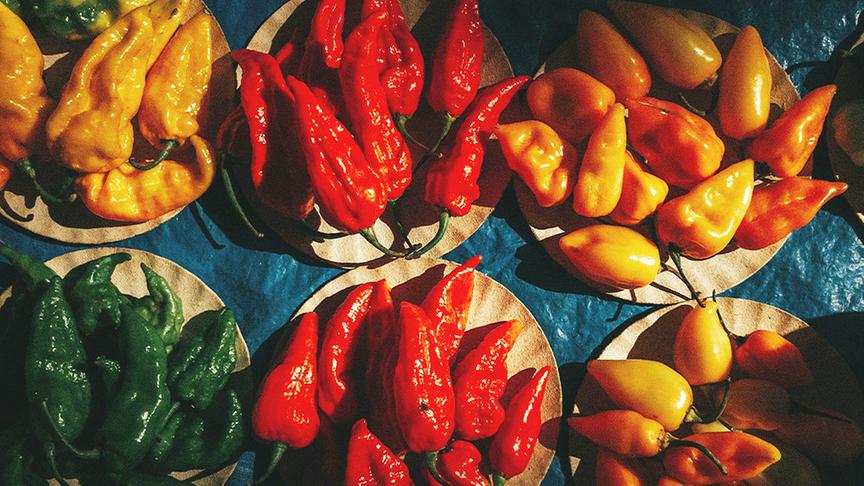© Unsplash (Beispielfoto) Tom’s Hot Sauce