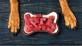 Rohe Fleischstücke in einer Hundefutterschüssel