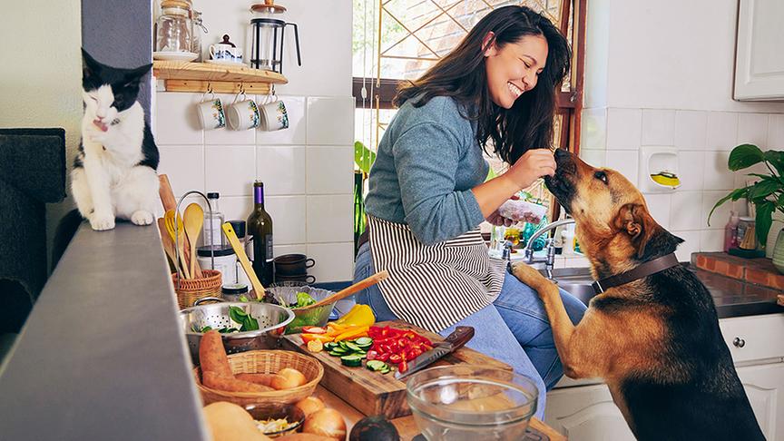 © Foto: iStock/ Moyo Studio Ein Hund frisst seiner Besitzerin aus der Hand.