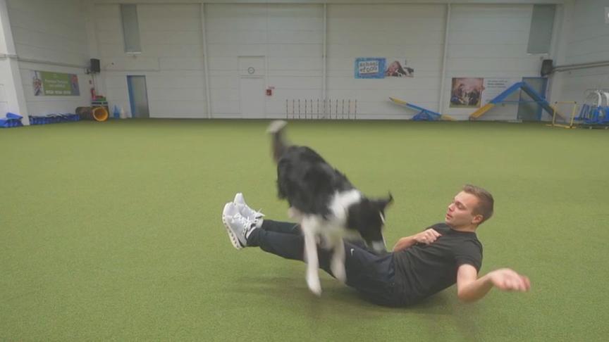 Hundetrainer Lukas Pratschker zeigt, wie man mit dem Hund trainieren und zugleich selbst Sport machen kann