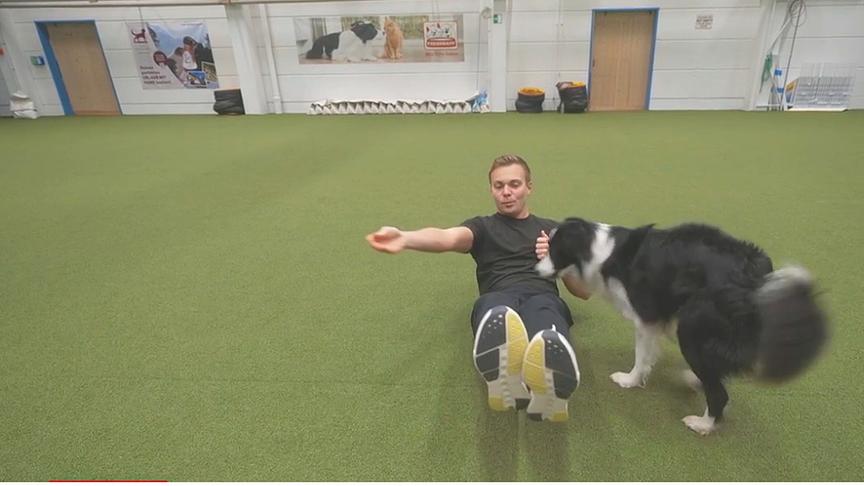 Hundetrainer Lukas Pratschker zeigt, wie man mit dem Hund trainieren und zugleich selbst Sport machen kann