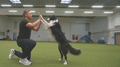 Hundetrainer Lukas Pratschker zeigt, wie man mit dem Hund trainieren und zugleich selbst Sport machen kann