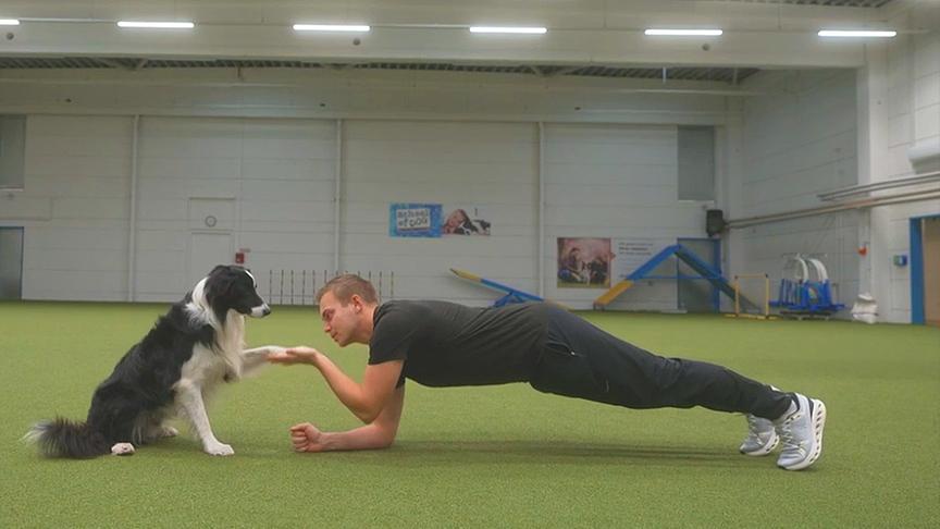 Hundetrainer Lukas Pratschker zeigt, wie man mit dem Hund trainieren und zugleich selbst Sport machen kann