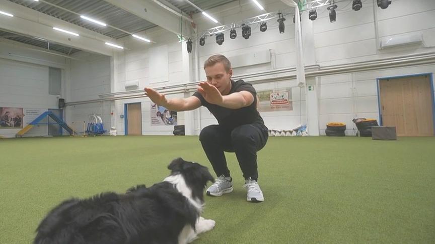 Hundetrainer Lukas Pratschker zeigt, wie man mit dem Hund trainieren und zugleich selbst Sport machen kann