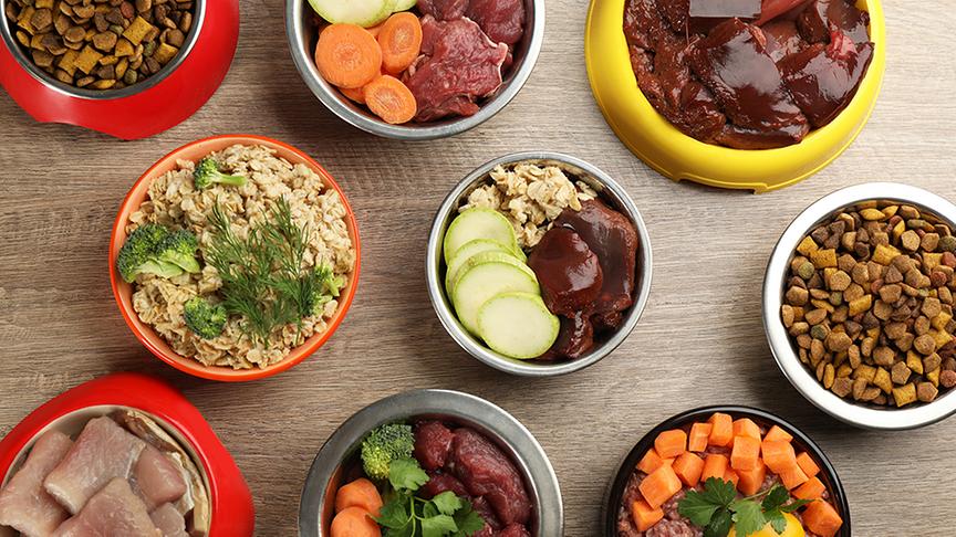 © Futter sollte immer Raumtemperatur haben (Foto: ORF nachlese/ iStock/ Liudmila Chernetska) Futter sollte immer Raumtemperatur haben