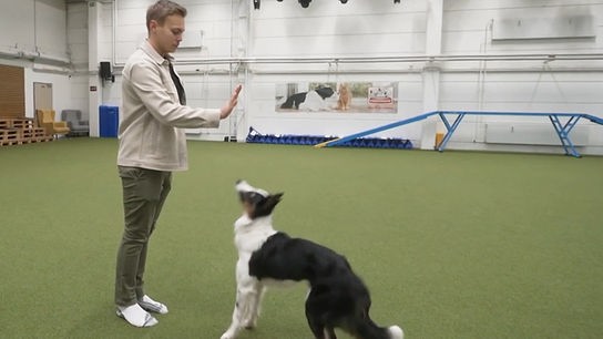 Hundetrainer Lukas Pratschker zum Thema "Wenn der Hund mich ignoriert"