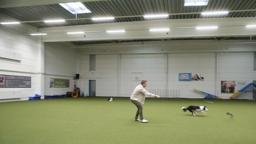 Hundetrainer Lukas Pratschker zum Thema "Wenn der Hund mich ignoriert"