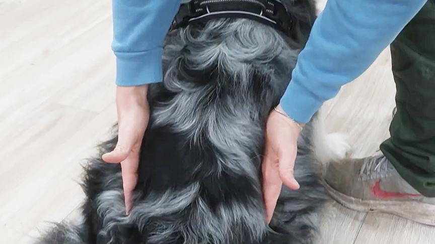 Check 1: Vom Brustkorb bis hin zum Becken sollte eine schmalere Stelle am Rücke erkennbar sein.